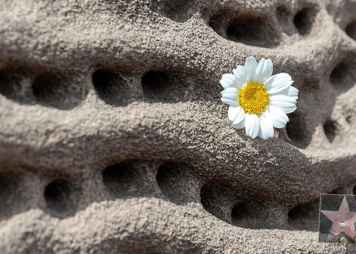 Moderne- Frische Familienvilla Allondra By Interhome בית נופש *